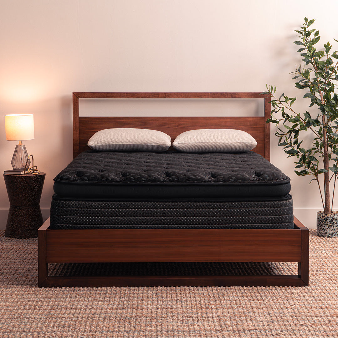 The Moon 16" Jumbo Pillow Top Mattress by Worlds Best Sleep