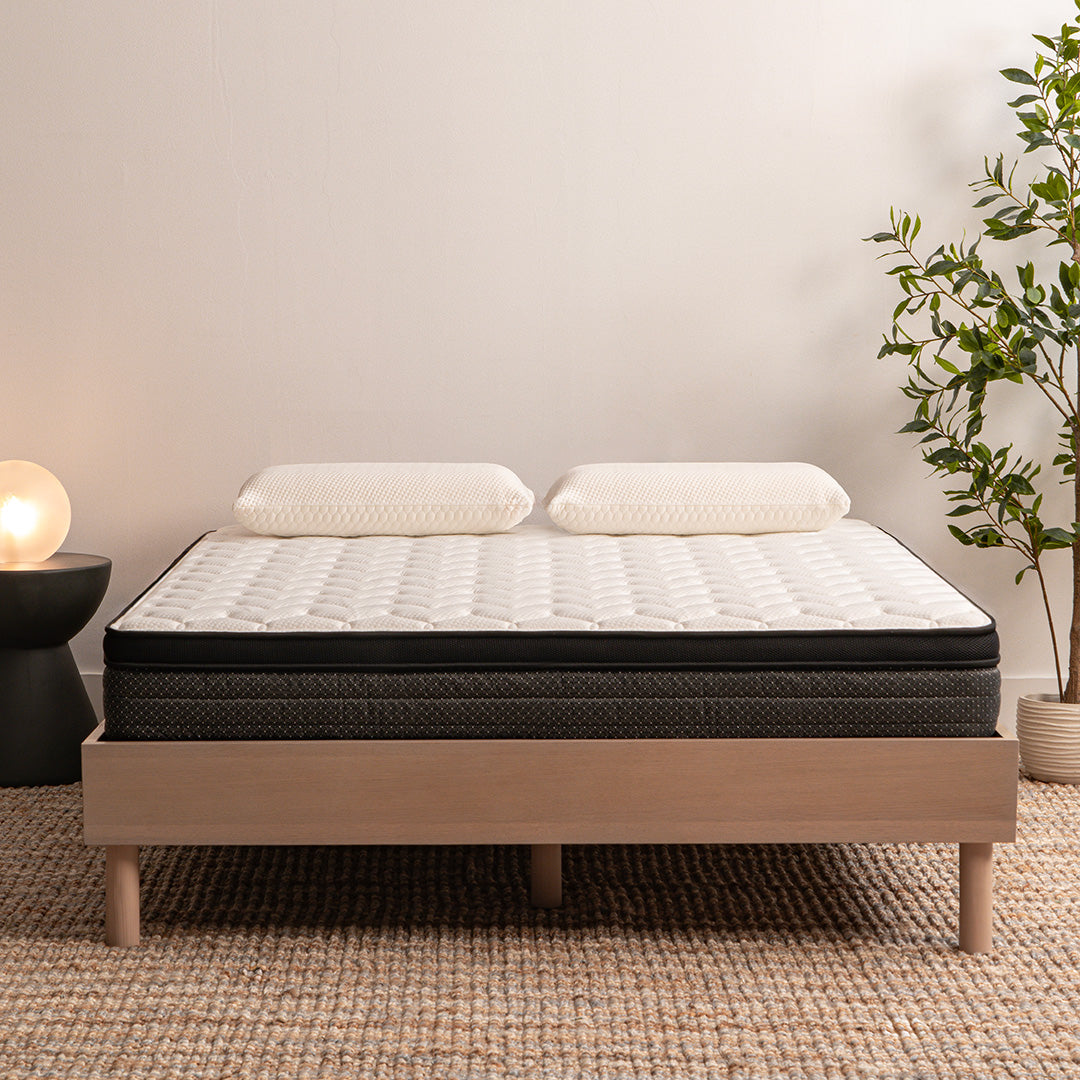 The Star 9" Euro Top Mattress by Worlds Best Sleep
