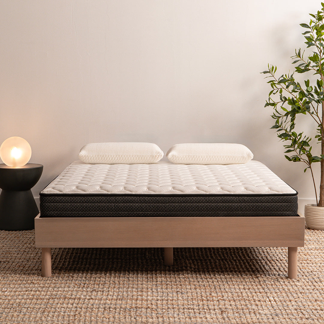 The Star 6.5" Firm Mattress by Worlds Best Sleep