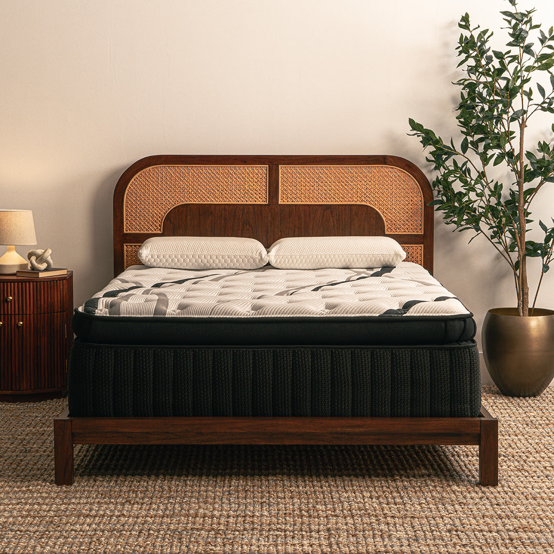 The Cloud Jumbo Pillow Top 16" Mattress by Worlds Best Sleep