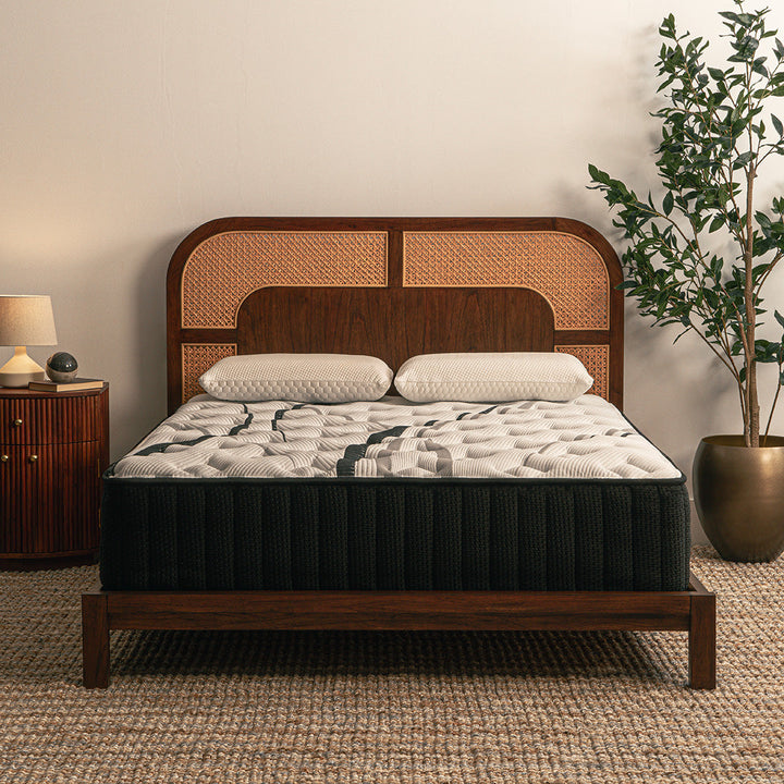 The Cloud 14" Plush Mattress by Worlds Best Sleep