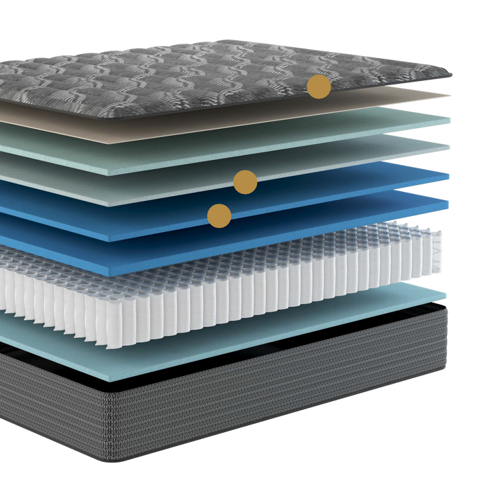 The Moon Firm 13" Mattress by Worlds Best Sleep