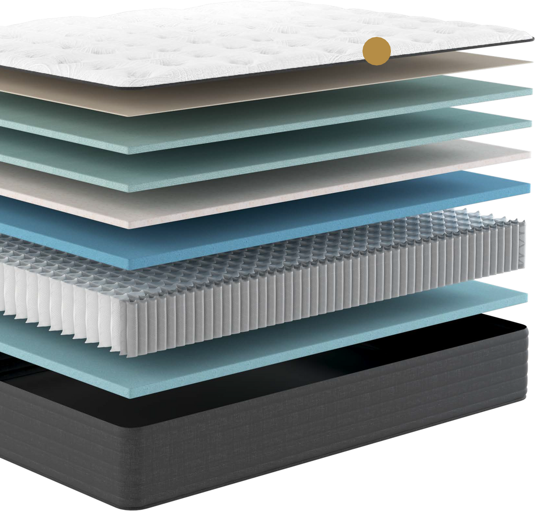 The Cloud 14" Plush Mattress by Worlds Best Sleep